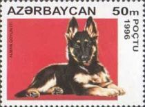 German Shepherd (Canis lupus familiaris)