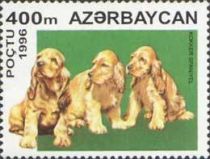 Cocker Spaniel (Canis lupus familiaris)