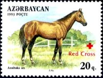 Akhalteki Horse (Equus ferus caballus) - Overprint