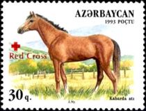 Kabarda Horse (Equus ferus caballus) - Overprint