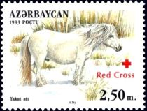 Yakut Horse (Equus ferus caballus) - Overprint