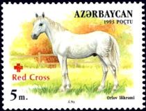 Orlov Horse (Equus ferus caballus) - Overprint