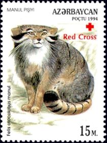 Manul Cat (Felis otocolobus manul) - Overprint