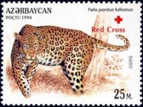 Anatolian Leopard (Felis pardus tullianus) - Overprint