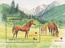 Karabakh Horse (Equus ferus caballus) - Overprint