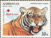 Caspian Tiger (Panthera tigris virgata) - Overprint