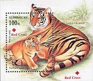 Caspian Tiger (Panthera tigris virgata) with Cub - Overprint