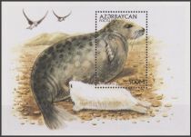 Caspian Seal (Phoca caspica)