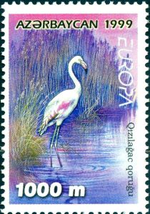 Europa - Flamingo - Qizilagdz Nature Reserve