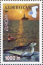 Europa - Caspian Seal (Phoca hispida)