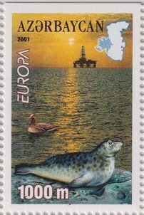 Europa - Caspian Seal (Phoca hispida)