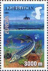 Europa - Sturgeon, Crab, Medusa in the Caspian Sea