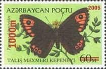 Butterfly (Pararge adrastoides) - Surcharge and Overprint