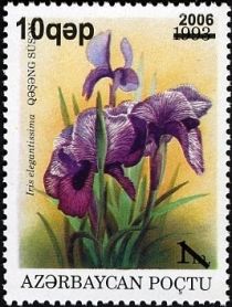 Iris elegantissima - Surcharge and Overprint