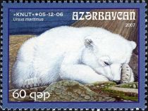 Polar Bear (Ursus maritimus) - "Knut"