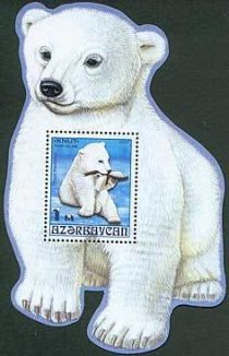 Polar Bear (Ursus maritimus) - "Knut"