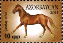 Karabakh Horse (Equus ferus caballus)