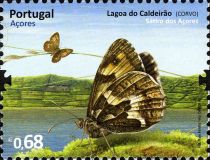 Butterfly - Lagoon of Caldeirão (Corvo)