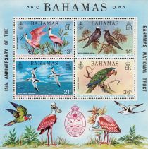 Birds of the Bahamas