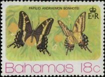 Bahaman Swallowtail (Papilio andraemon)