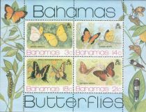 Butterflies