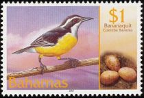 Bananaquit (Coereba flaveola)