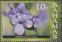 Barleria