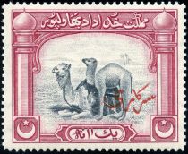 Dromedary (Camelus dromedarius), Red Urdu Overprint