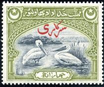 Great White Pelican (Pelecanus onocrotalus) with red Urdu ov