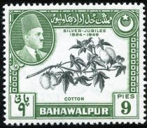 Cotton (Gossypium sp.), Emir of Bahawalpur