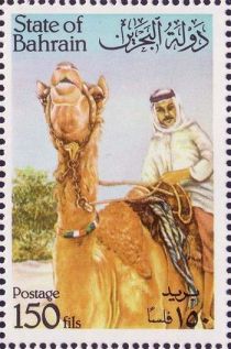 Dromedary (Camelus dromedarius) and Rider