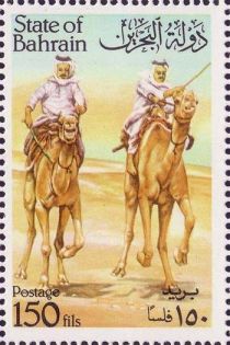 Dromedary (Camelus dromedarius), Riders