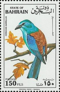 European Roller (Coracias garrulus)