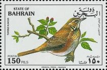 Redwing (Turdus iliacus)