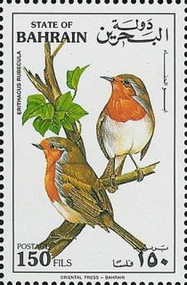 European Robin (Erithacus rubecula)