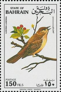 Thrush Nightingale (Luscinia luscinia)