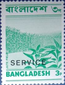 Jute Field - overprinted