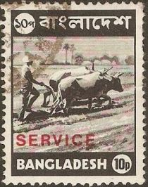 Bullocks ploughing - overprinted