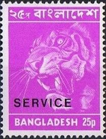 Bengal Tiger (Panthera tigris tigris), overprinted