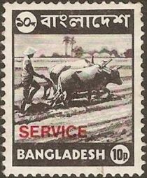 Bullocks ploughing - overprinted