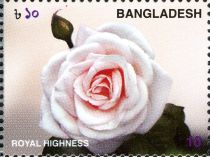 Roses - Royal Highness