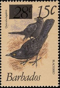 Blackbird (Quiscalus lugubris) - surcharged