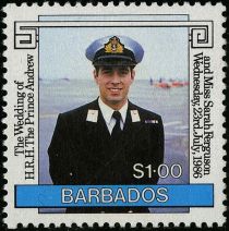 Andrew in navy uniform