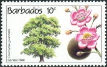 Cannonball tree (Couroupita guianensis)