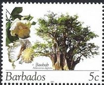 Baobab