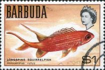 Longspine Squirrelfish (Holocentrus rufus)