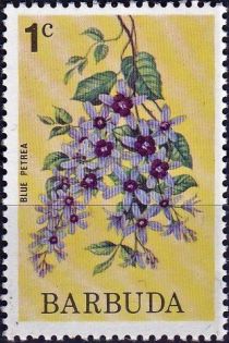 Blue Petrea