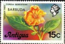 Geiger Tree (Cordia sebestena) - Overprinted