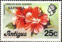 Hibiscus (Hibiscus rosa sinensis) - Overprinted