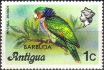 Imperial Parrot (Amazona imperialis) - Overprinted